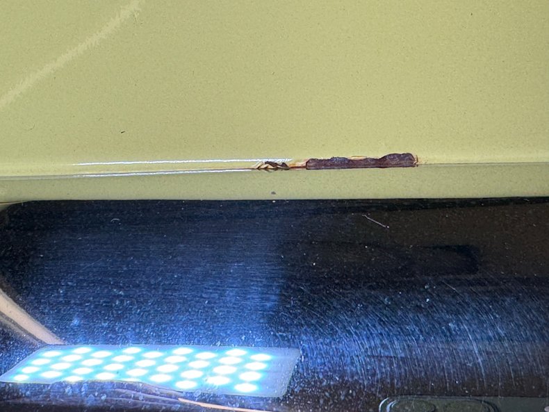 Chevrolet-Bel-air-1957-Yellow-Black-20