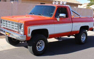 Chevrolet C-10 1977 Standard Cab Pickup