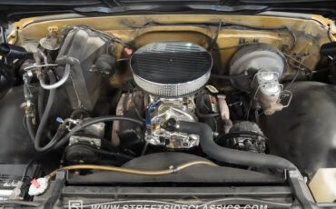 Chevrolet-C10-1970-Medium-Gold-Metallic-Gray-31