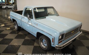 Chevrolet-C10-1974-Skyline-Blue-Blue-23