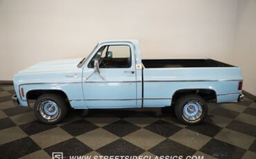 Chevrolet-C10-1974-Skyline-Blue-Blue-31