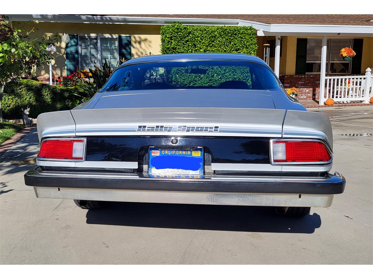 Chevrolet-Camaro-1975-BlackSilver-BlackLight-Grey-6