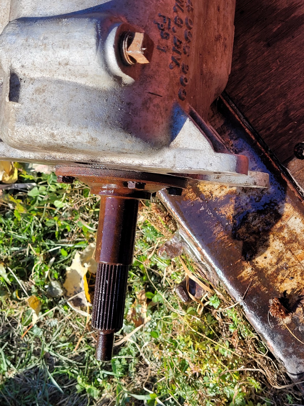 Chevrolet-Camaro-1981-Coupe-2