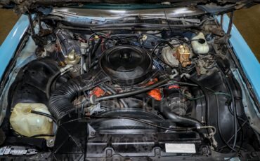 Chevrolet-Caprice-1975-Sky-Blue-White-46