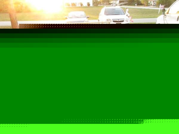 Chevrolet-Chevelle-1967-Silver-Black-2