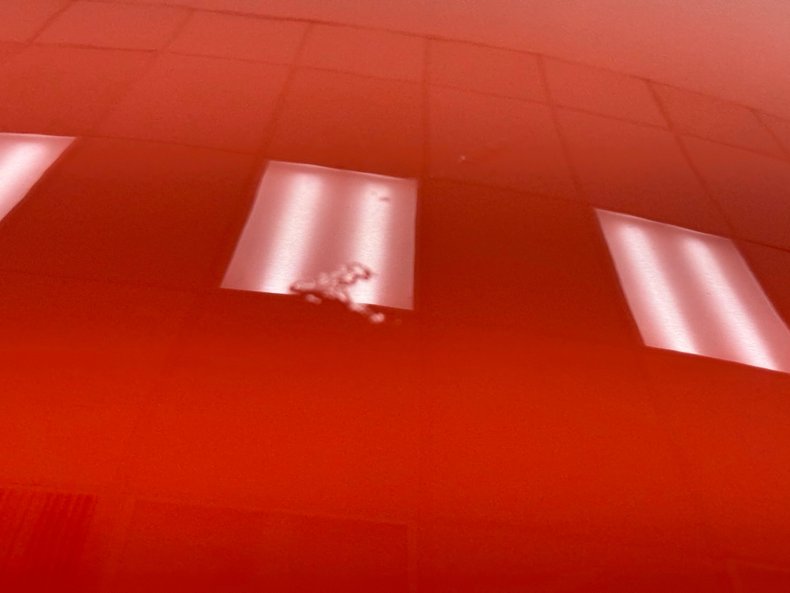 Chevrolet-Chevelle-1969-Hugger-Orange-Black-17