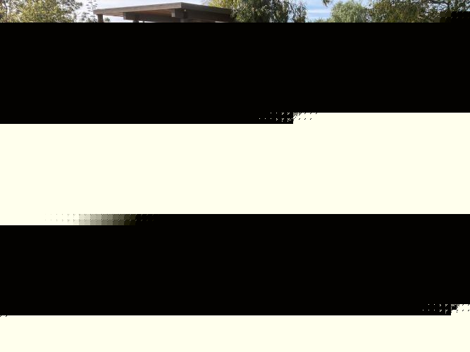 Chevrolet-Chevelle-1970-White-Black-15