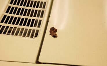 Chevrolet-Corvair-1968-Butternut-Yellow-Black-30