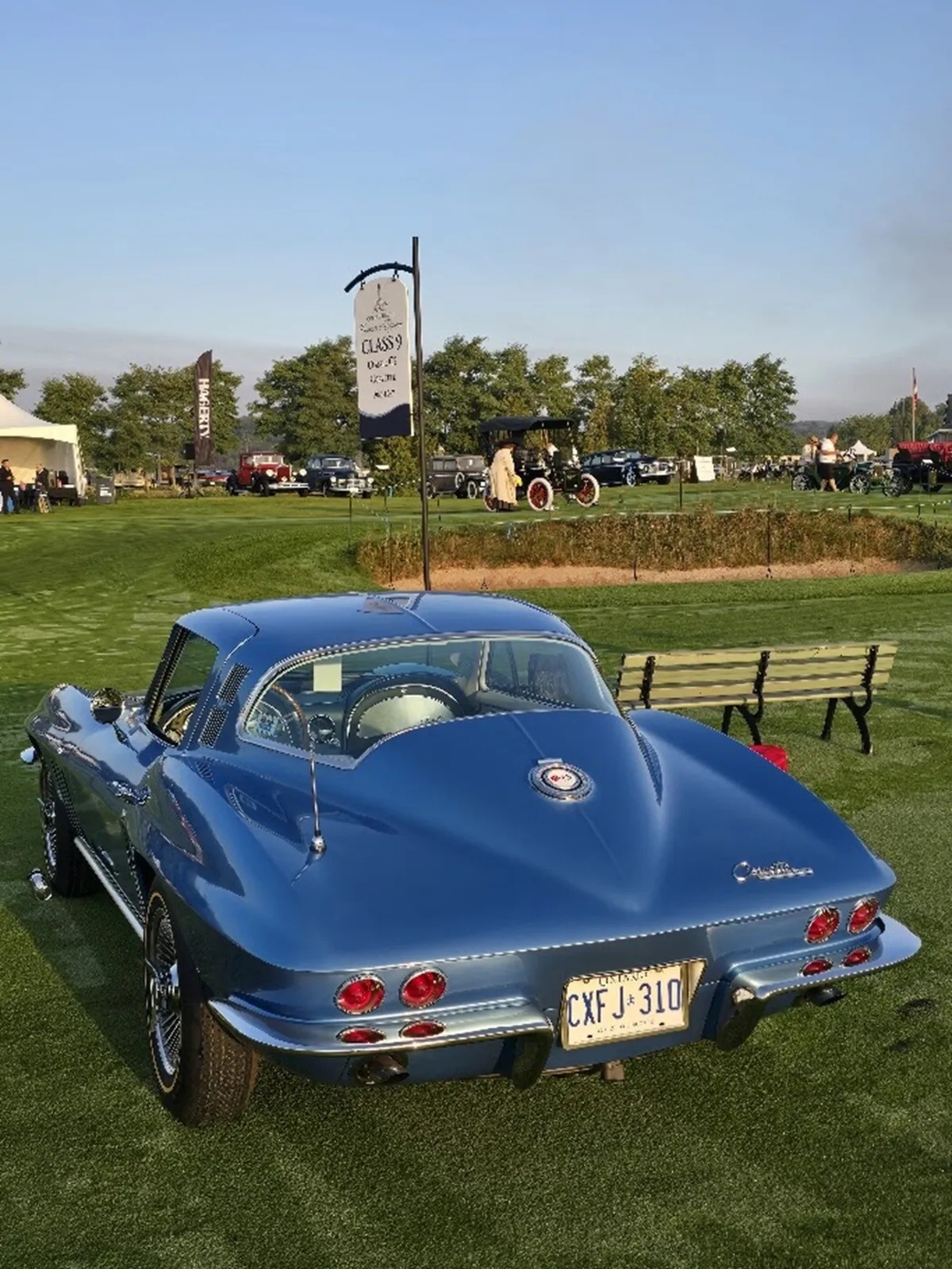 Chevrolet-Corvette-1965-Nassau-Blue-White-17
