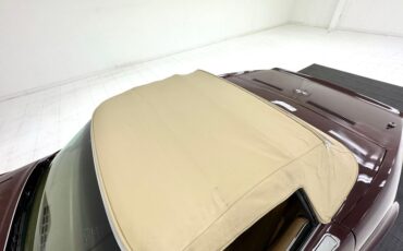 Chevrolet-Corvette-1969-Burgundy-Poly-Saddle-20