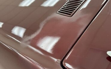 Chevrolet-Corvette-1969-Burgundy-Poly-Saddle-40