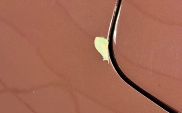 Chevrolet-Corvette-1969-Burgundy-Poly-Saddle-44