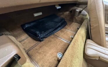 Chevrolet-Corvette-1971-Black-Saddle-10