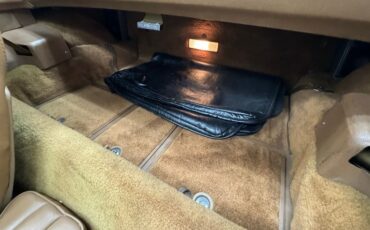 Chevrolet-Corvette-1971-Black-Saddle-48