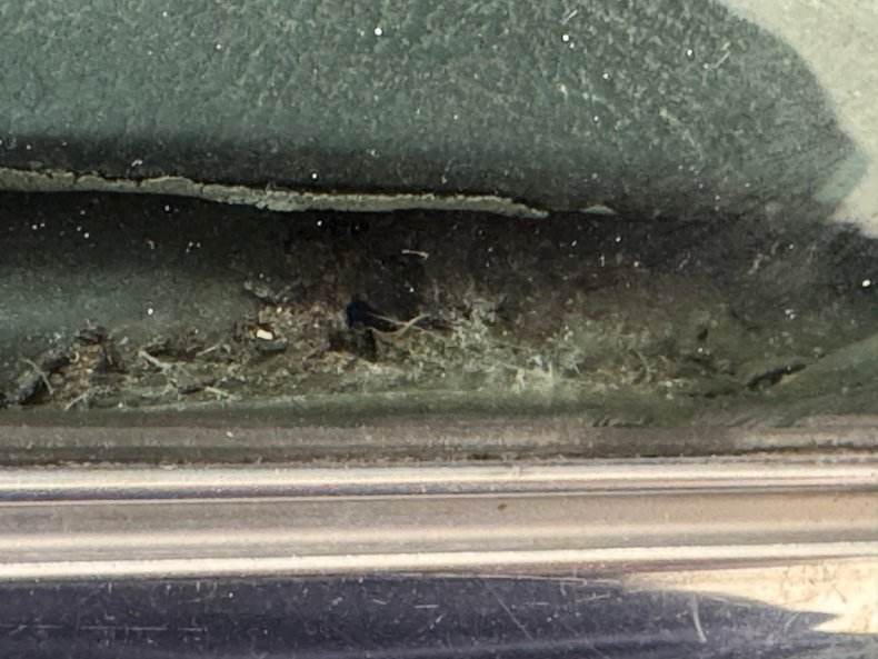 Chevrolet-Corvette-1972-Black-Black-1