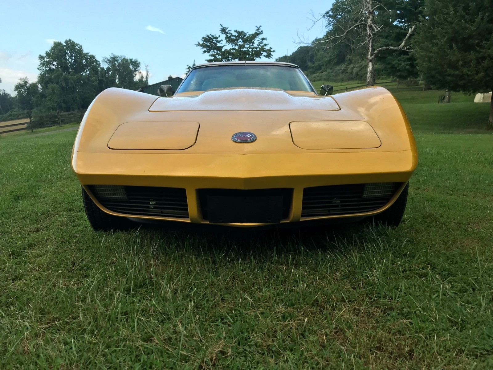 Chevrolet-Corvette-1973-Coupe-3