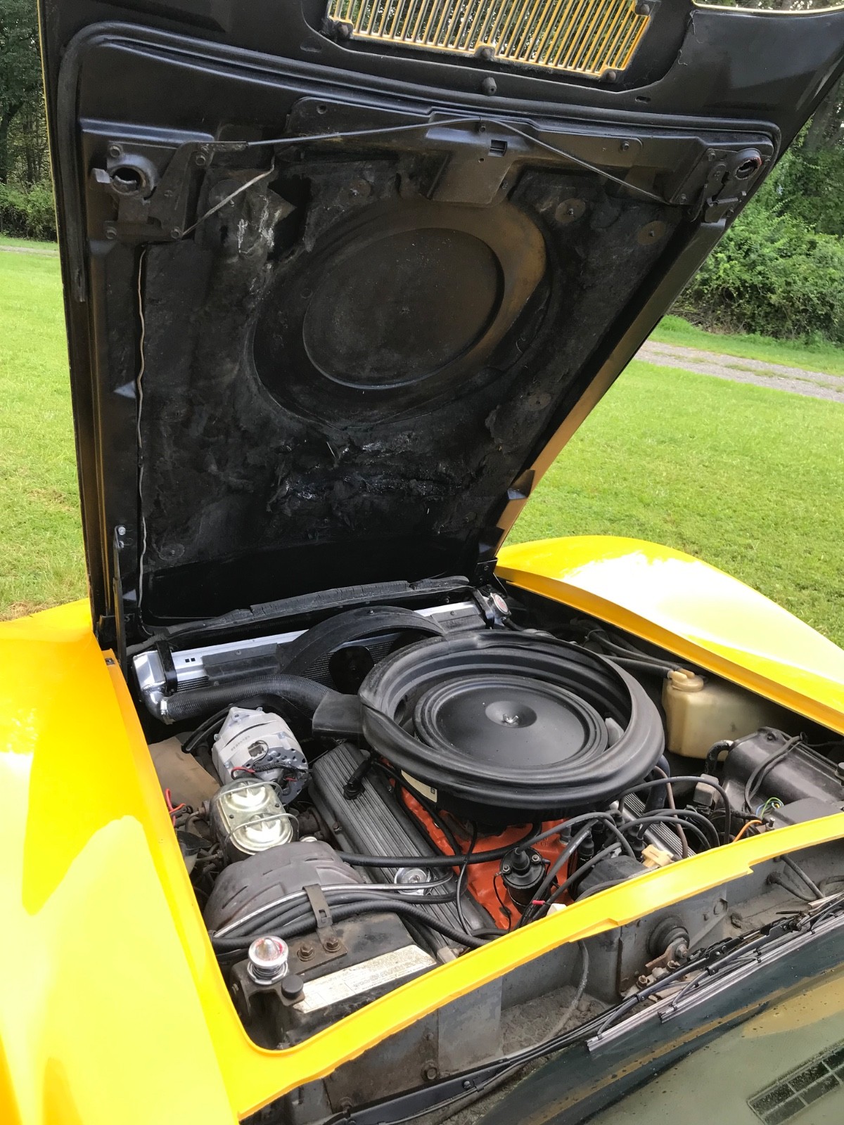 Chevrolet-Corvette-1973-Coupe-6