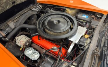Chevrolet-Corvette-1974-Corvette-Orange-Medium-Saddle-29