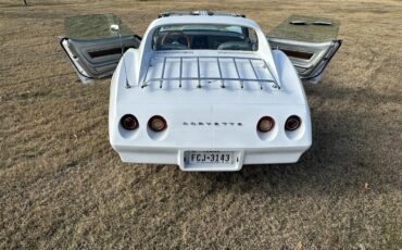 Chevrolet-Corvette-1974-White-Silver-11