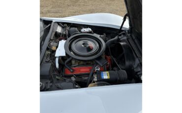 Chevrolet-Corvette-1974-White-Silver-12