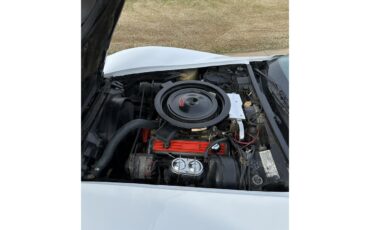 Chevrolet-Corvette-1974-White-Silver-13