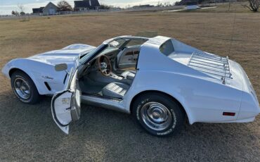 Chevrolet-Corvette-1974-White-Silver-5