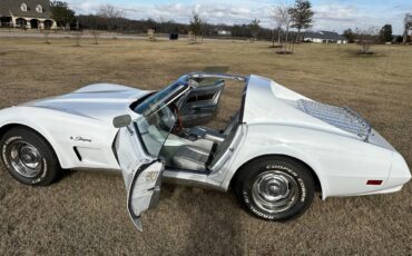 Chevrolet-Corvette-1974-White-Silver-6