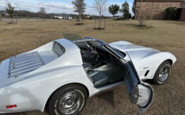 Chevrolet-Corvette-1974-White-Silver-8