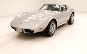 Chevrolet-Corvette-1976-Silver-Metallic-Smoke-Gray-10