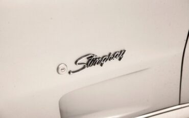 Chevrolet-Corvette-1976-Silver-Metallic-Smoke-Gray-11