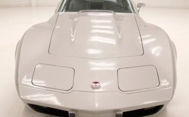 Chevrolet-Corvette-1976-Silver-Metallic-Smoke-Gray-14