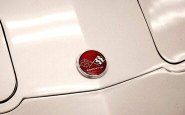 Chevrolet-Corvette-1976-Silver-Metallic-Smoke-Gray-19