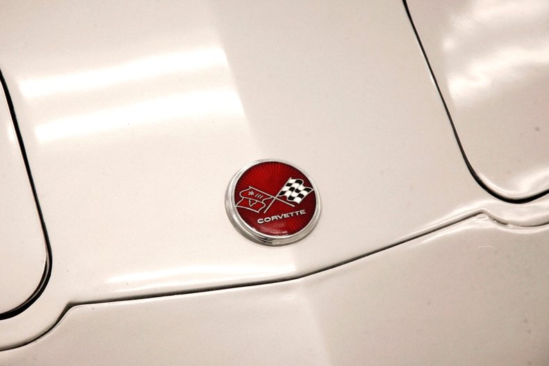 Chevrolet-Corvette-1976-Silver-Metallic-Smoke-Gray-19