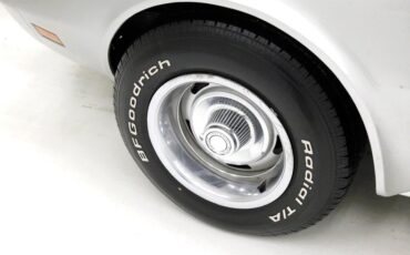 Chevrolet-Corvette-1976-Silver-Metallic-Smoke-Gray-21