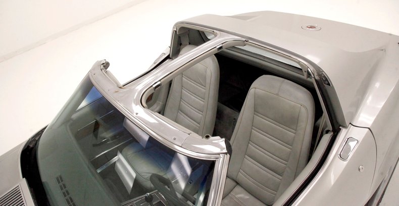 Chevrolet-Corvette-1976-Silver-Metallic-Smoke-Gray-22