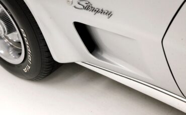 Chevrolet-Corvette-1976-Silver-Metallic-Smoke-Gray-23