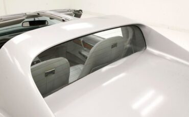 Chevrolet-Corvette-1976-Silver-Metallic-Smoke-Gray-24