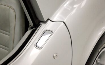 Chevrolet-Corvette-1976-Silver-Metallic-Smoke-Gray-25