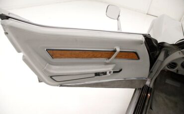 Chevrolet-Corvette-1976-Silver-Metallic-Smoke-Gray-27