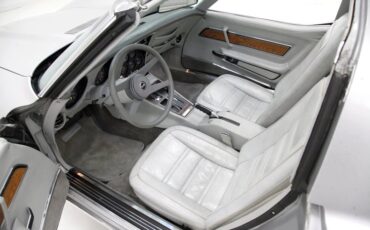 Chevrolet-Corvette-1976-Silver-Metallic-Smoke-Gray-28