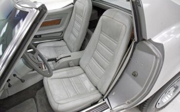 Chevrolet-Corvette-1976-Silver-Metallic-Smoke-Gray-29