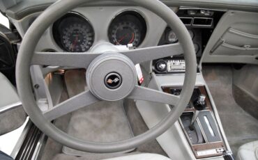 Chevrolet-Corvette-1976-Silver-Metallic-Smoke-Gray-30