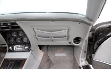 Chevrolet-Corvette-1976-Silver-Metallic-Smoke-Gray-34