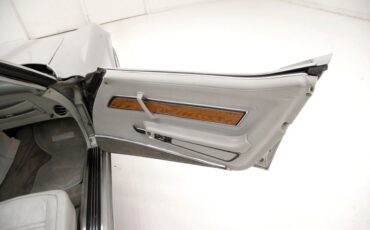 Chevrolet-Corvette-1976-Silver-Metallic-Smoke-Gray-35