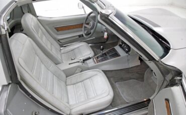 Chevrolet-Corvette-1976-Silver-Metallic-Smoke-Gray-36