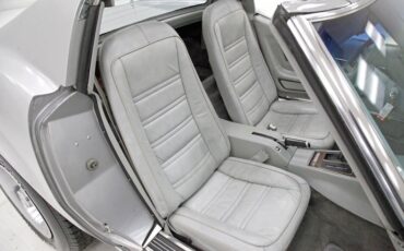 Chevrolet-Corvette-1976-Silver-Metallic-Smoke-Gray-37