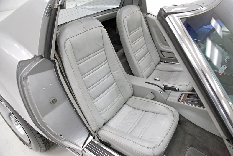 Chevrolet-Corvette-1976-Silver-Metallic-Smoke-Gray-37