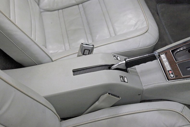 Chevrolet-Corvette-1976-Silver-Metallic-Smoke-Gray-41