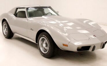 Chevrolet-Corvette-1976-Silver-Metallic-Smoke-Gray-5