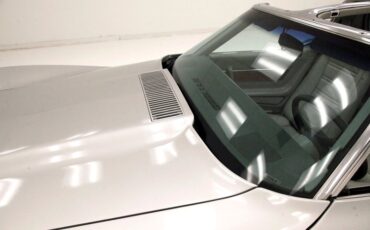 Chevrolet-Corvette-1976-Silver-Metallic-Smoke-Gray-6